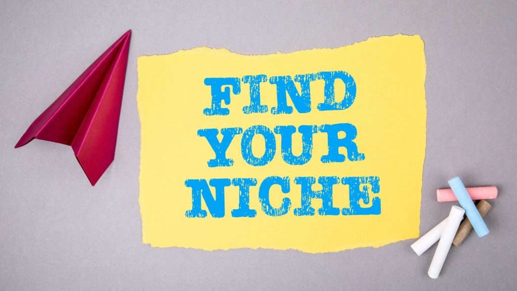 find the niche infographic