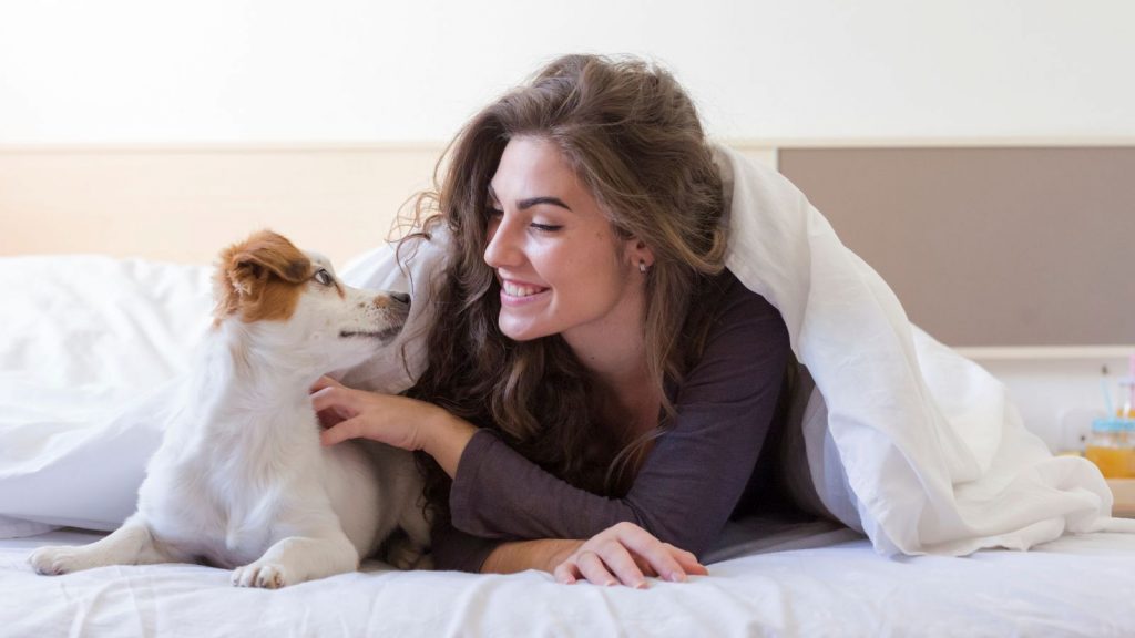 5 Income Based Pet Friendly Apartments in Your City